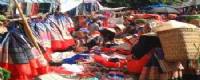 Travelers with Sapa and local market trekking